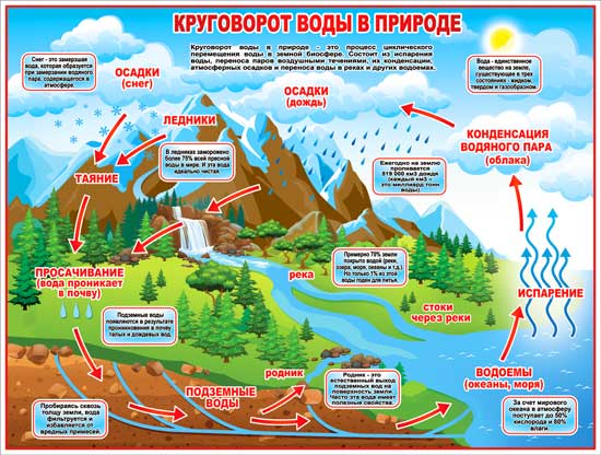 Плакат А2 'Круговорот воды в природе' 450х595 мм, Р2-290